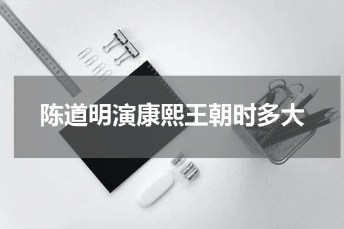 陈道明演康熙王朝时多大