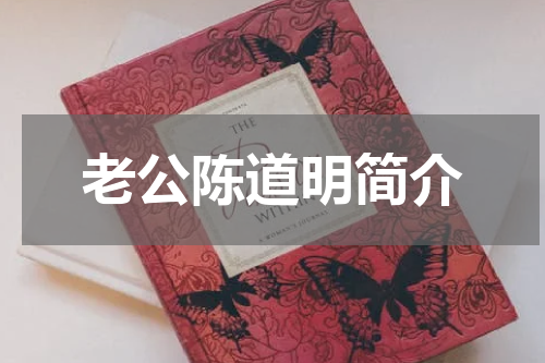 老公陈道明简介