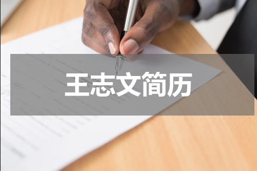 王志文简历