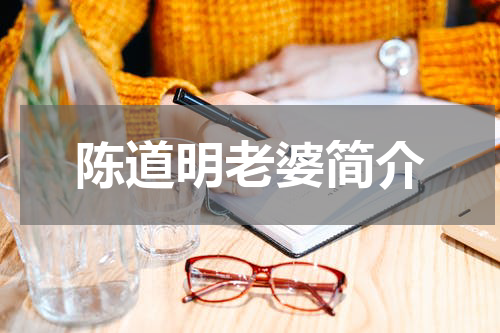 陈道明老婆简介