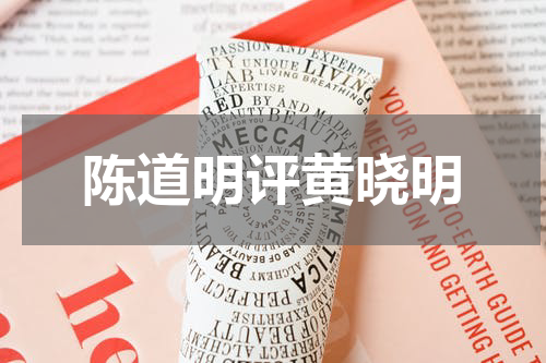 陈道明评黄晓明