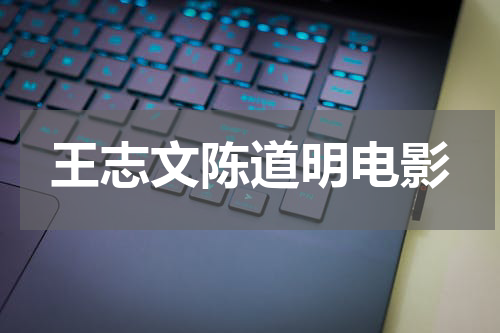 王志文陈道明电影