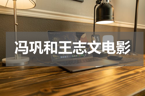 冯巩和王志文电影
