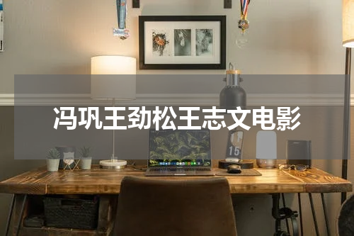 冯巩王劲松王志文电影