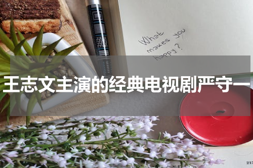 王志文主演的经典电视剧严守一