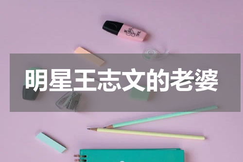 明星王志文的老婆