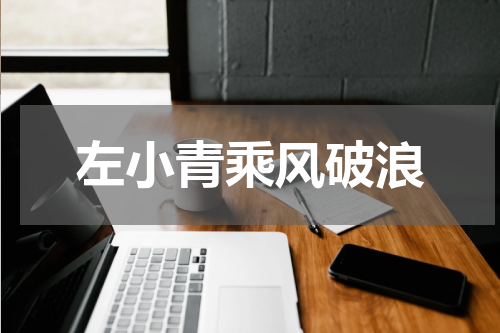 左小青乘风破浪