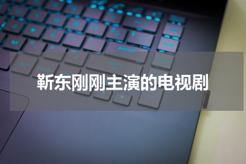 靳东刚刚主演的电视剧