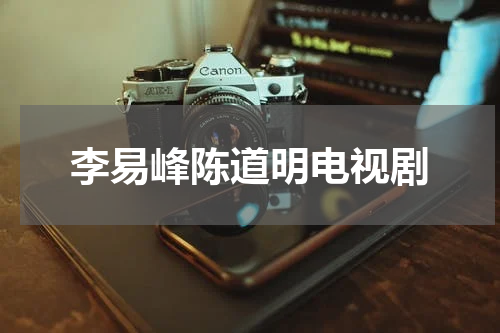 李易峰陈道明电视剧