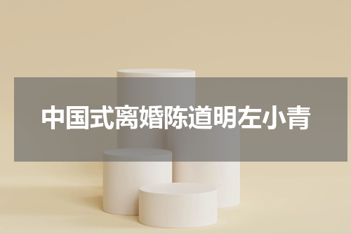 中国式离婚陈道明左小青