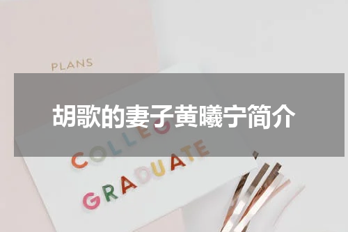 胡歌的妻子黄曦宁简介