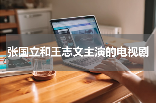 张国立和王志文主演的电视剧