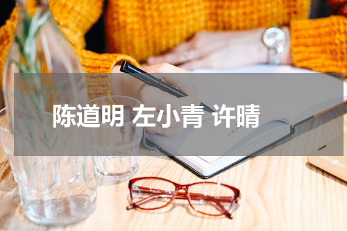 陈道明 左小青 许晴