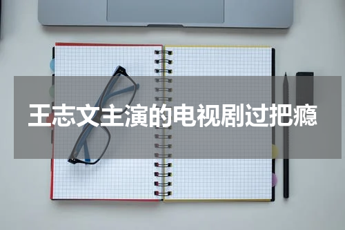王志文主演的电视剧过把瘾