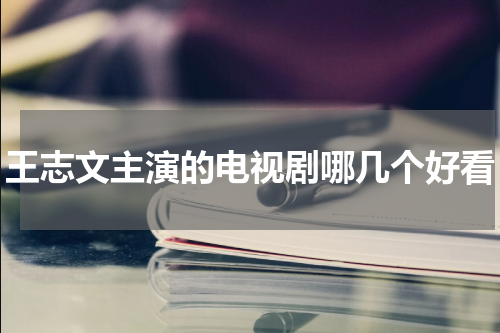 王志文主演的电视剧哪几个好看