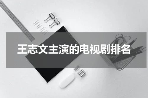 王志文主演的电视剧排名