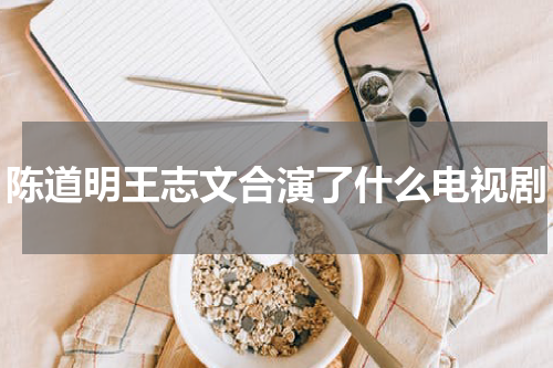 陈道明王志文合演了什么电视剧