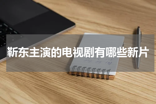 靳东主演的电视剧有哪些新片