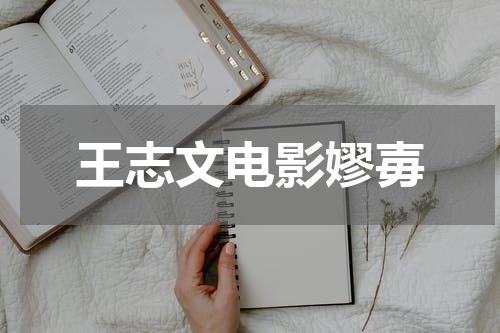 王志文电影嫪毐