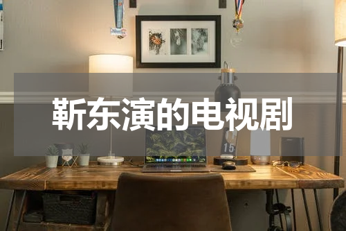 靳东演的电视剧