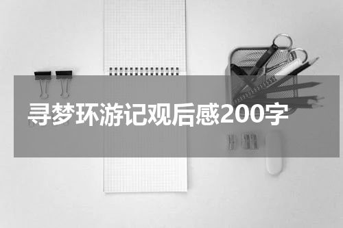 寻梦环游记观后感200字