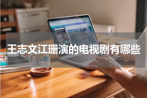 王志文江珊演的电视剧有哪些