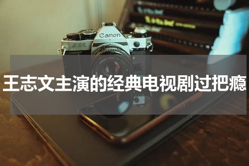 王志文主演的经典电视剧过把瘾