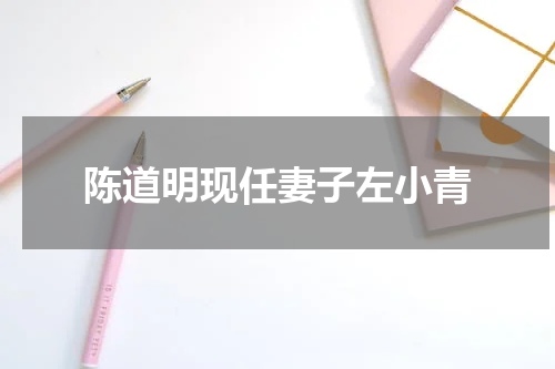 陈道明现任妻子左小青
