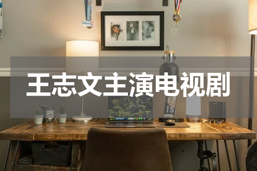 王志文主演电视剧