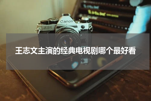 王志文主演的经典电视剧哪个最好看