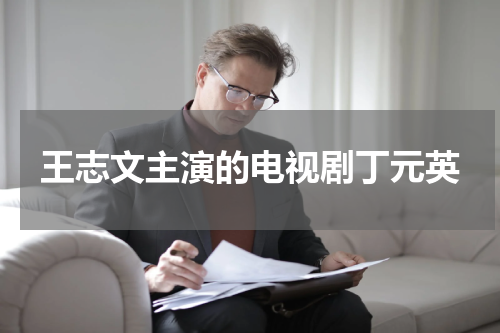 王志文主演的电视剧丁元英