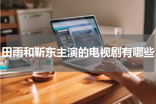 田雨和靳东主演的电视剧有哪些