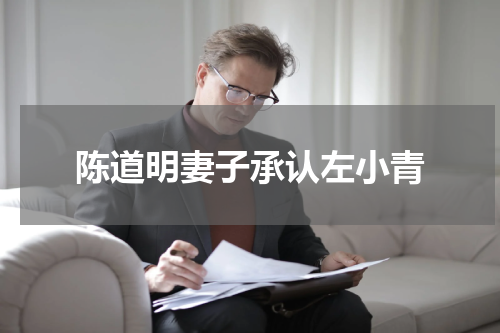 陈道明妻子承认左小青