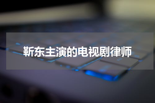 靳东主演的电视剧律师