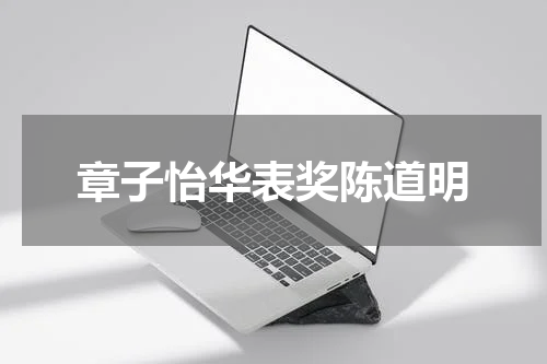 章子怡华表奖陈道明