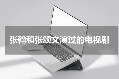 张翰和张颂文演过的电视剧