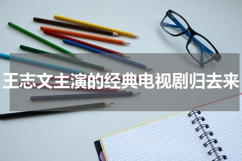 王志文主演的经典电视剧归去来