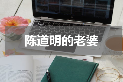 陈道明的老婆