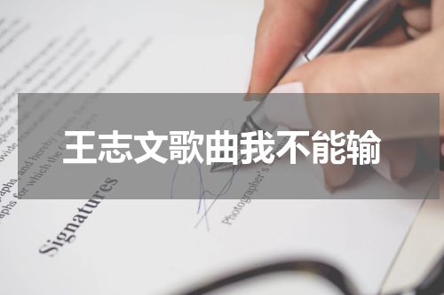 王志文歌曲我不能输