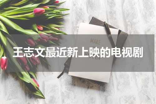 王志文最近新上映的电视剧