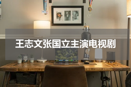 王志文张国立主演电视剧