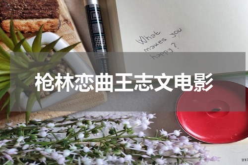 枪林恋曲王志文电影