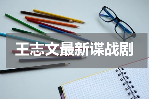 王志文最新谍战剧