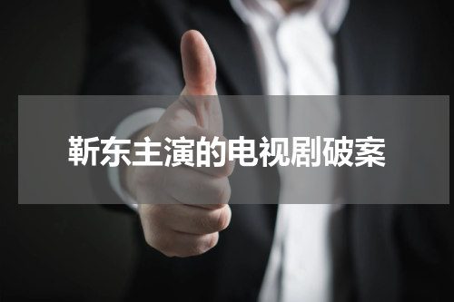 靳东主演的电视剧破案