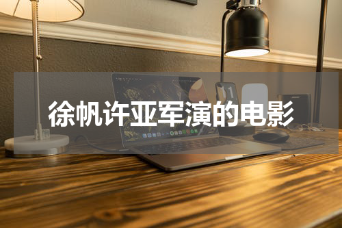 徐帆许亚军演的电影