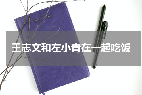 王志文和左小青在一起吃饭
