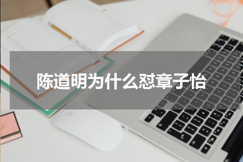 陈道明为什么怼章子怡
