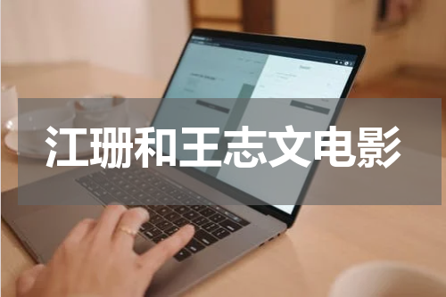 江珊和王志文电影