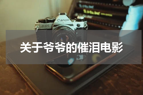 关于爷爷的催泪电影