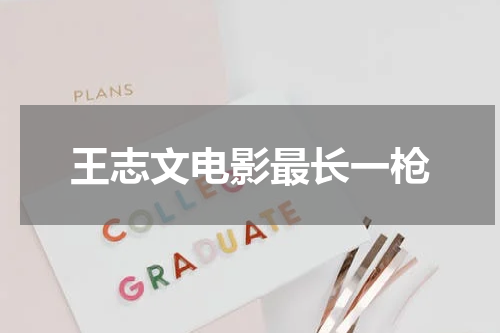 王志文电影最长一枪